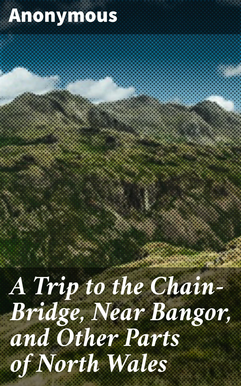 Portada: A Trip to the Chain-Bridge, Near Bangor, and Other Parts of North Wales