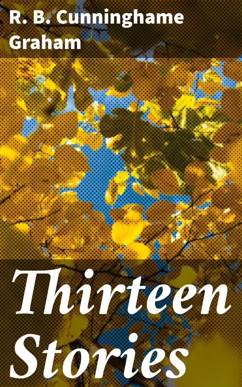 Portada: Thirteen Stories