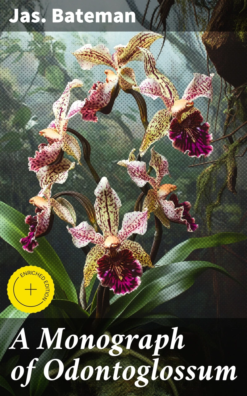 Portada: A Monograph of Odontoglossum