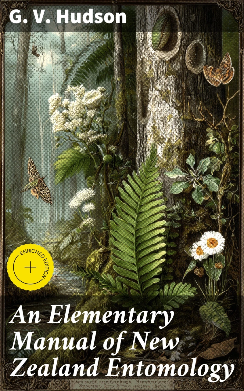 Portada: An Elementary Manual of New Zealand Entomology