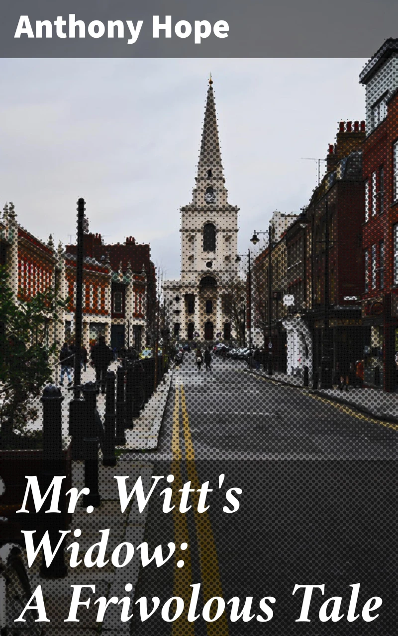 Portada: Mr. Witt's Widow: A Frivolous Tale
