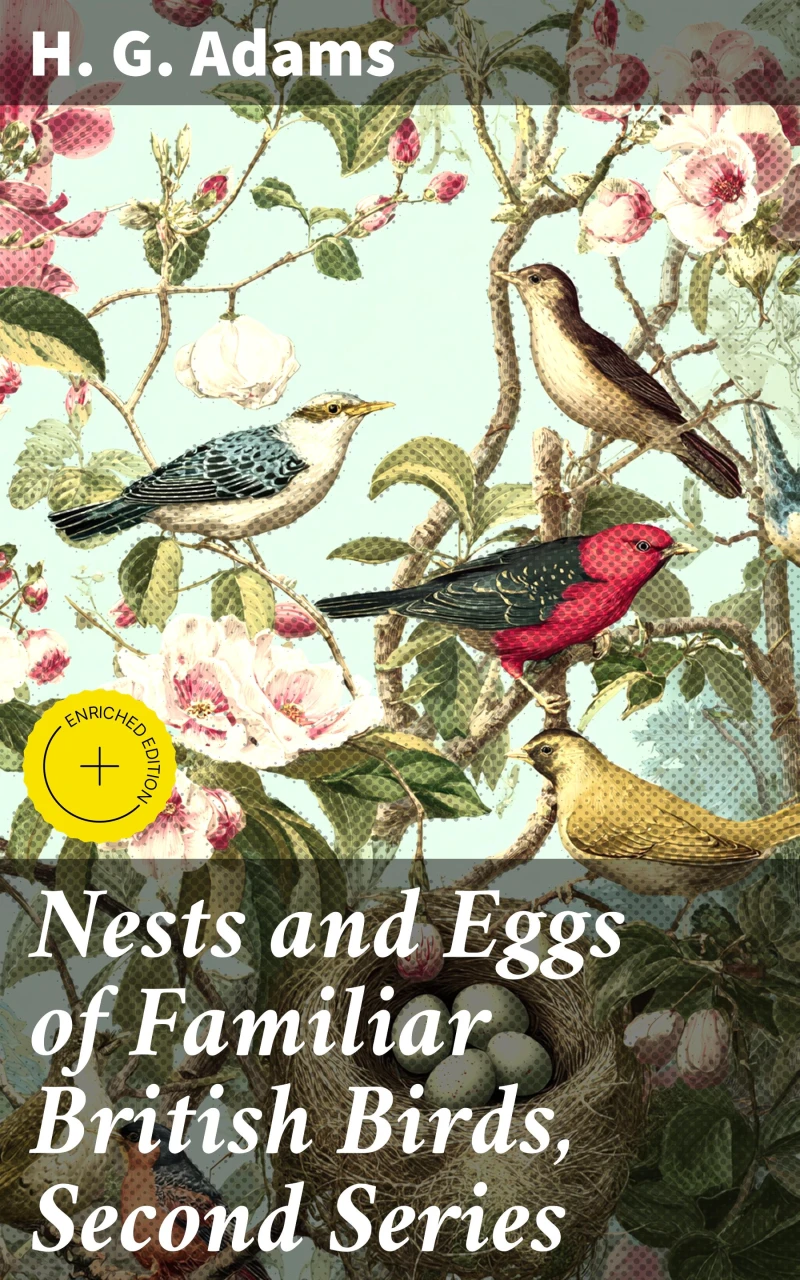 Portada: Nests and Eggs of Familiar British Birds, Second Series