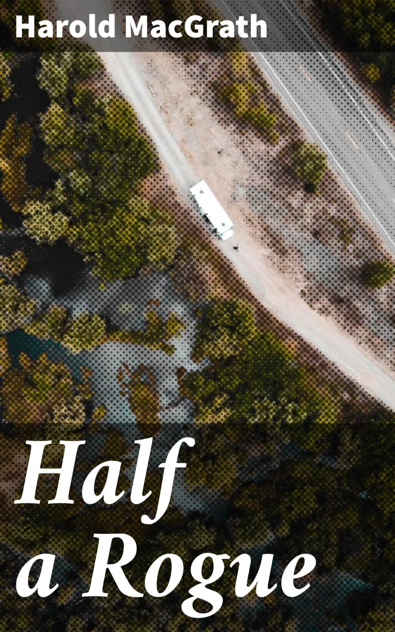Portada: Half a Rogue