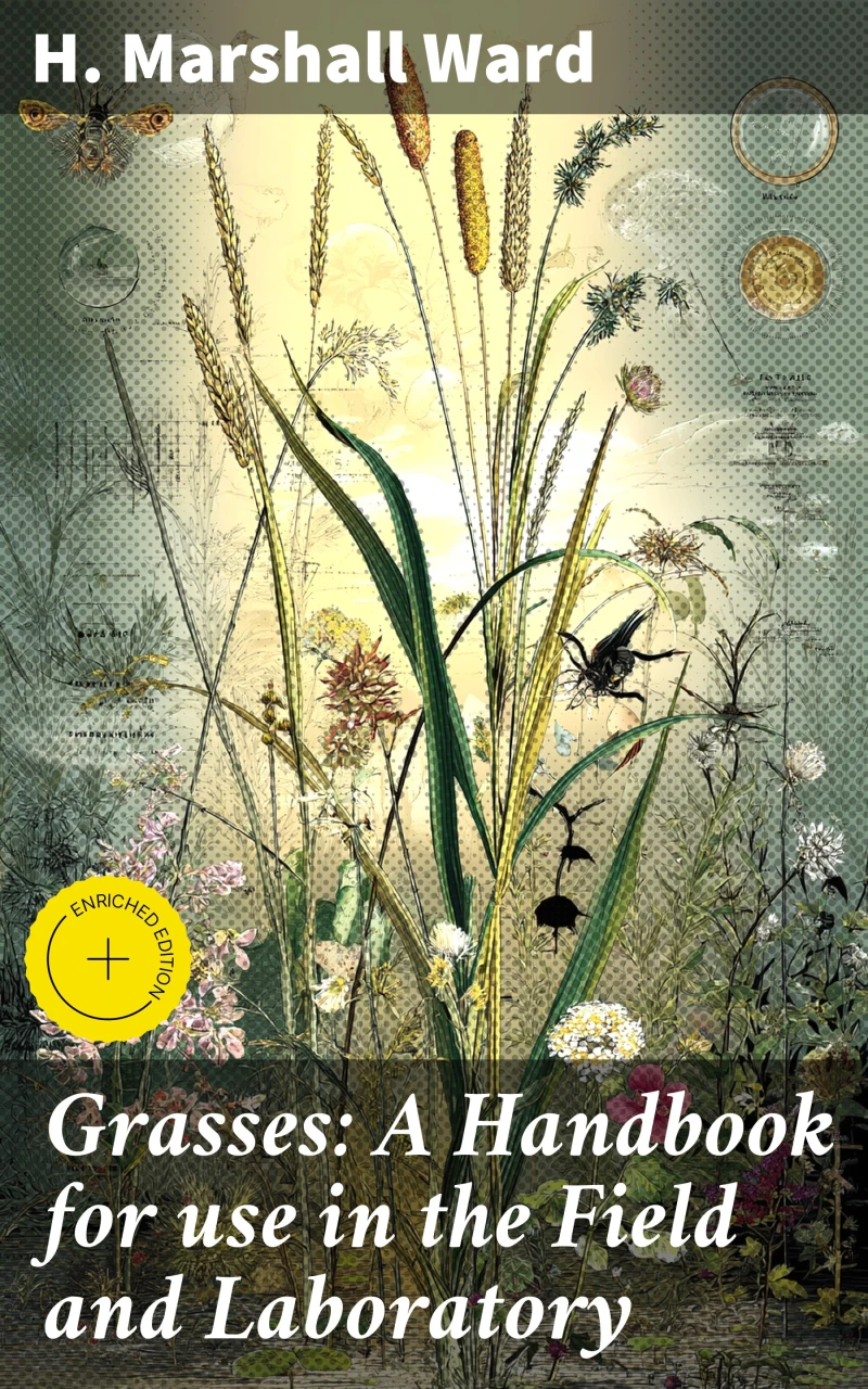 Portada: Grasses: A Handbook for use in the Field and Laboratory