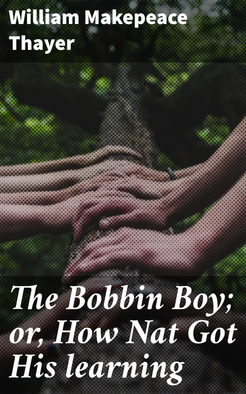 Portada: The Bobbin Boy; or, How Nat Got His learning