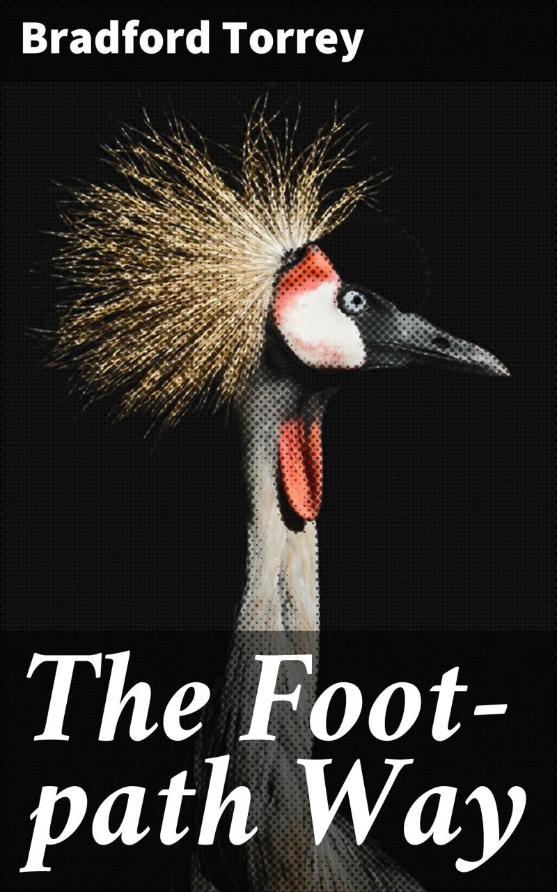 Portada: The Foot-path Way
