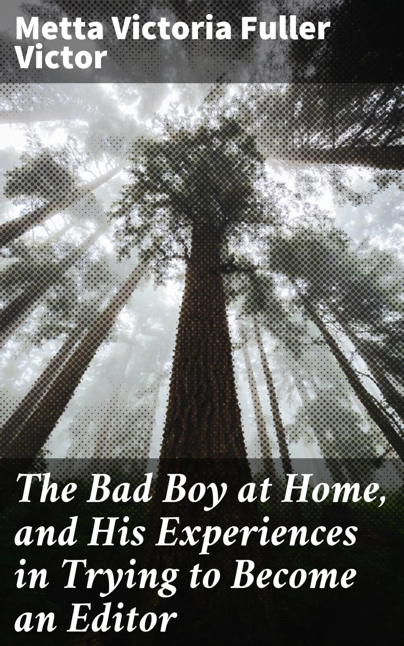 Portada: The Bad Boy at Home, and His Experiences in Trying to Become an Editor