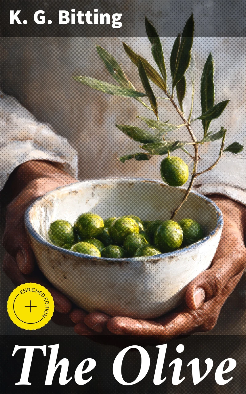 Portada: The Olive
