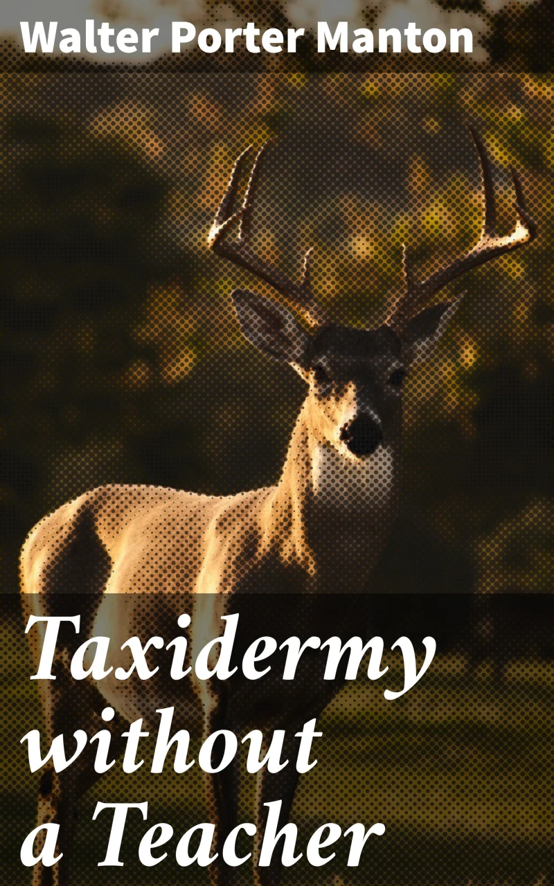 Portada: Taxidermy without a Teacher