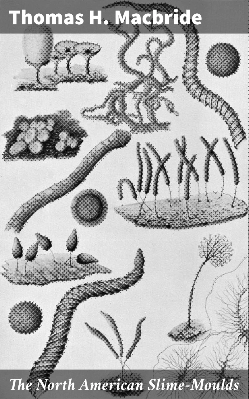 Portada: The North American Slime-Moulds