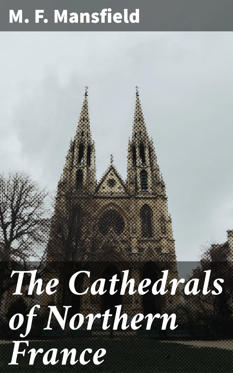 Portada: The Cathedrals of Northern France