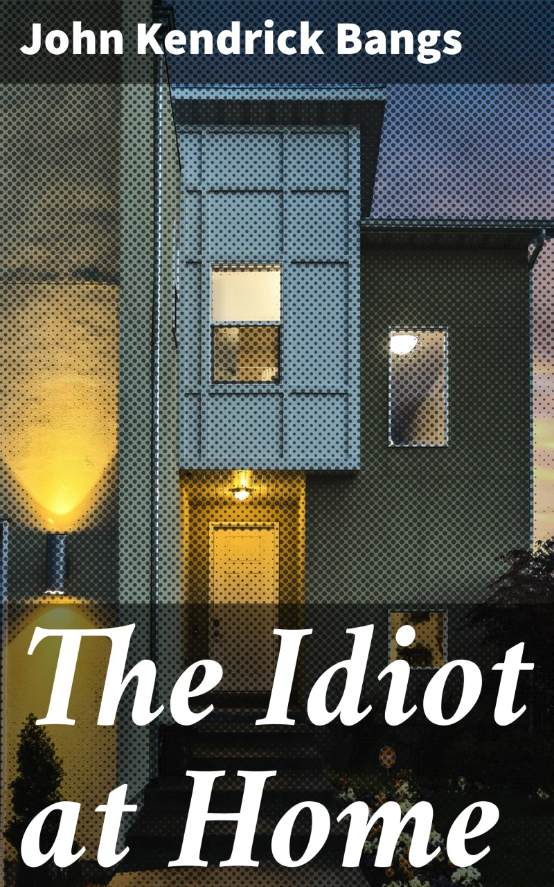 Portada: The Idiot at Home