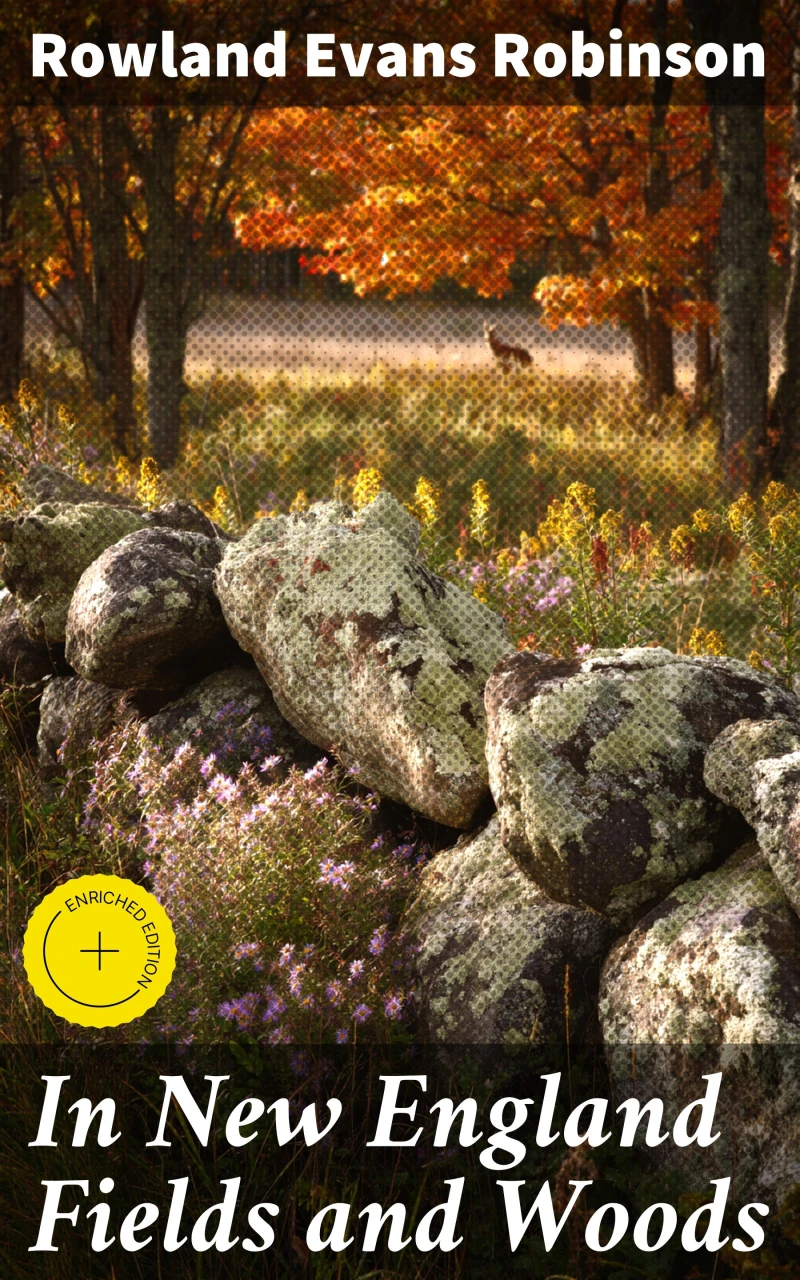 Portada: In New England Fields and Woods