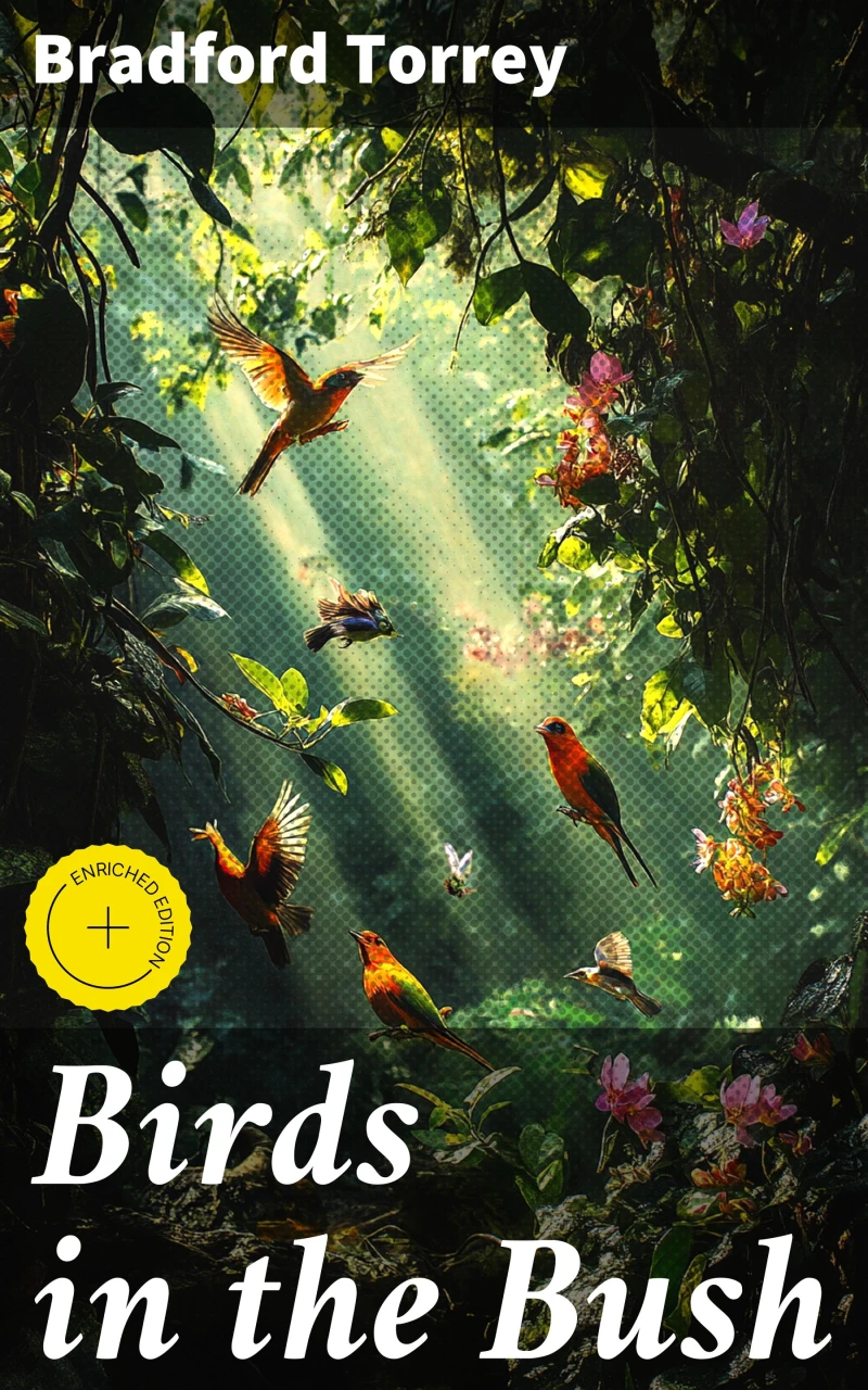 Portada: Birds in the Bush