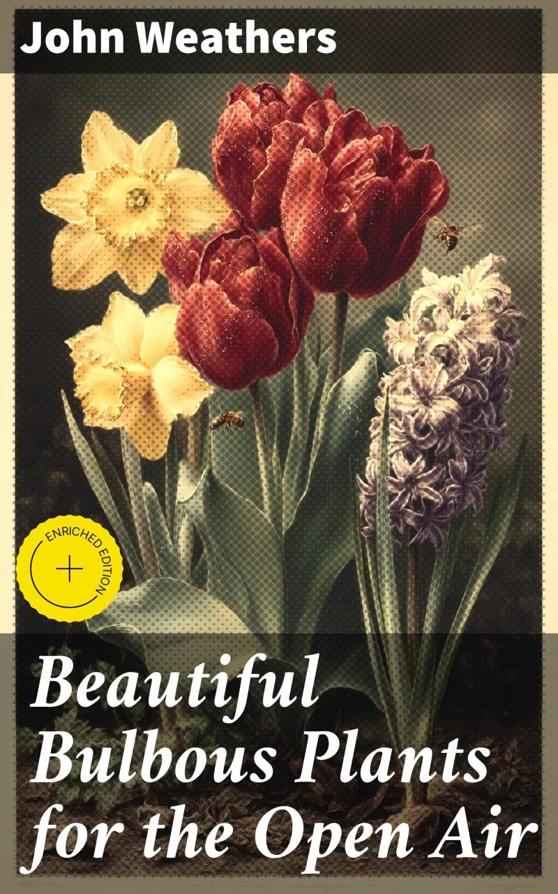 Portada: Beautiful Bulbous Plants for the Open Air