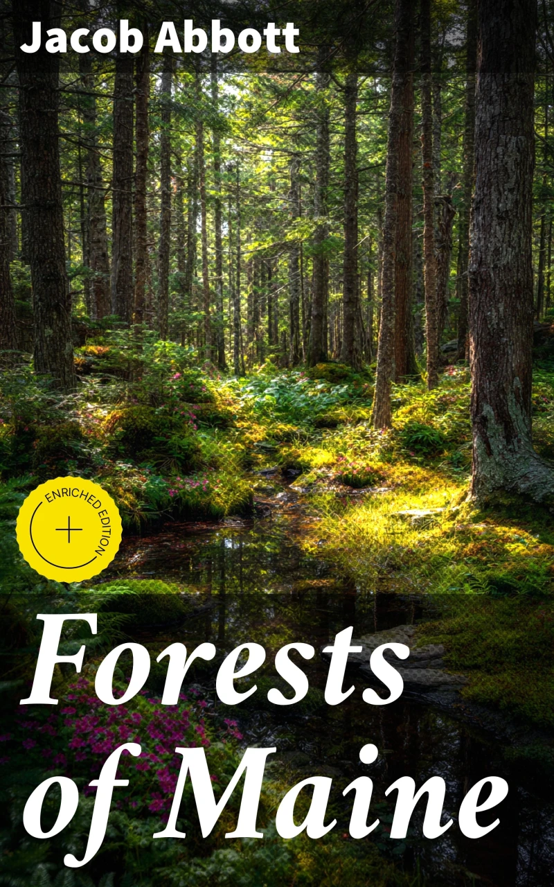 Portada: Forests of Maine