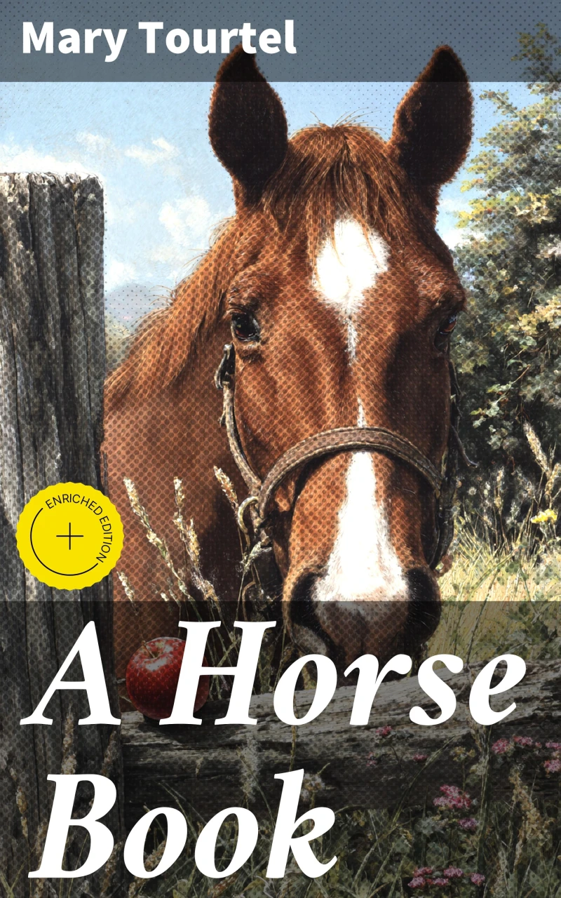 Portada: A Horse Book