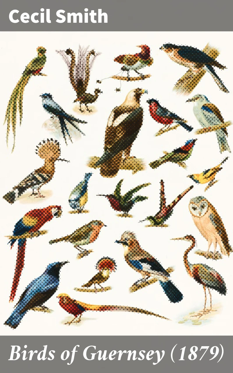 Portada: Birds of Guernsey (1879)