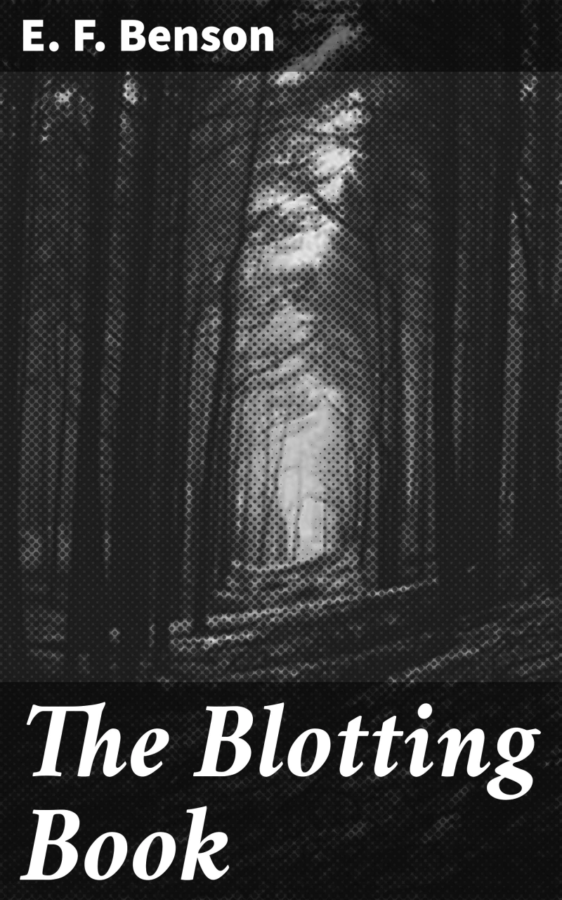 Portada: The Blotting Book