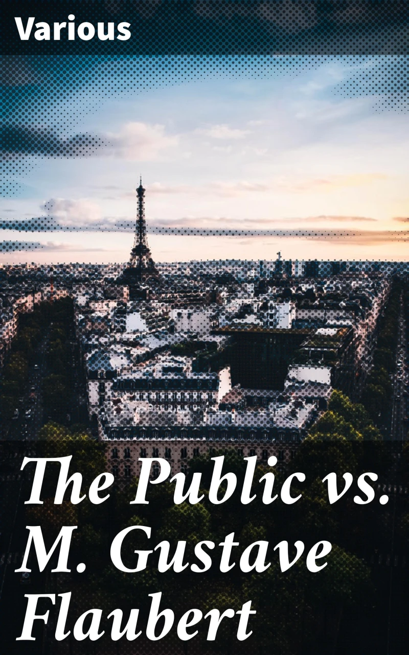 Portada: The Public vs. M. Gustave Flaubert