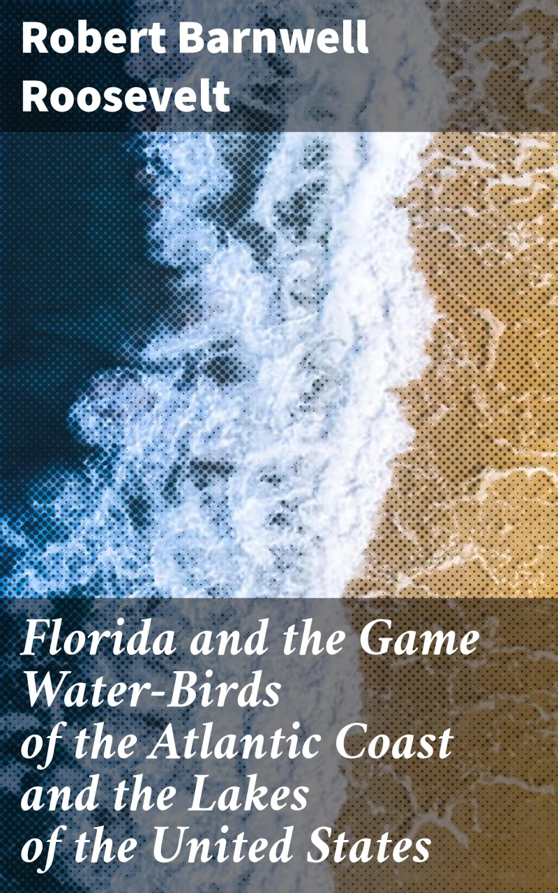 Portada: Florida and the Game Water-Birds of the Atlantic Coast and the Lakes of the United States
