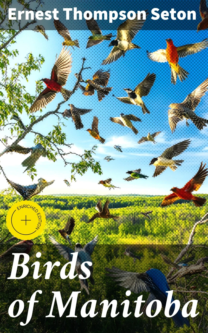 Portada: Birds of Manitoba