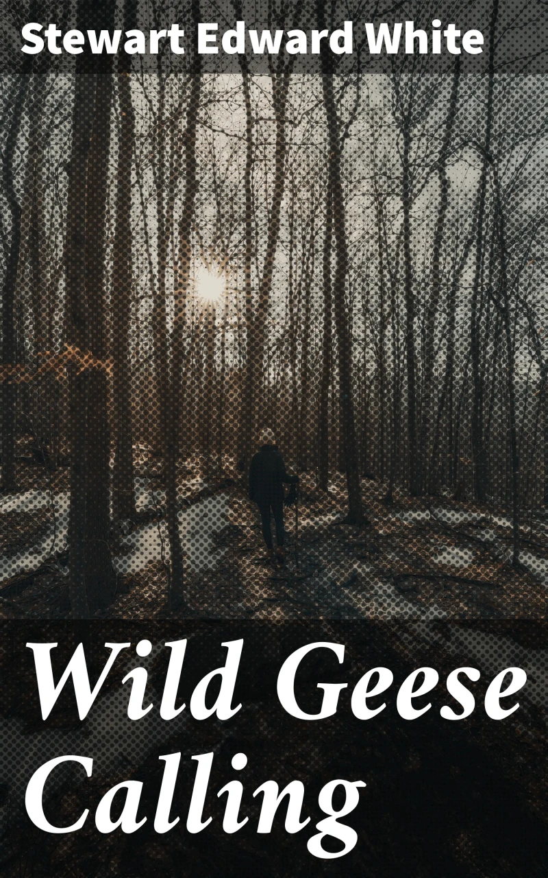 Portada: Wild Geese Calling