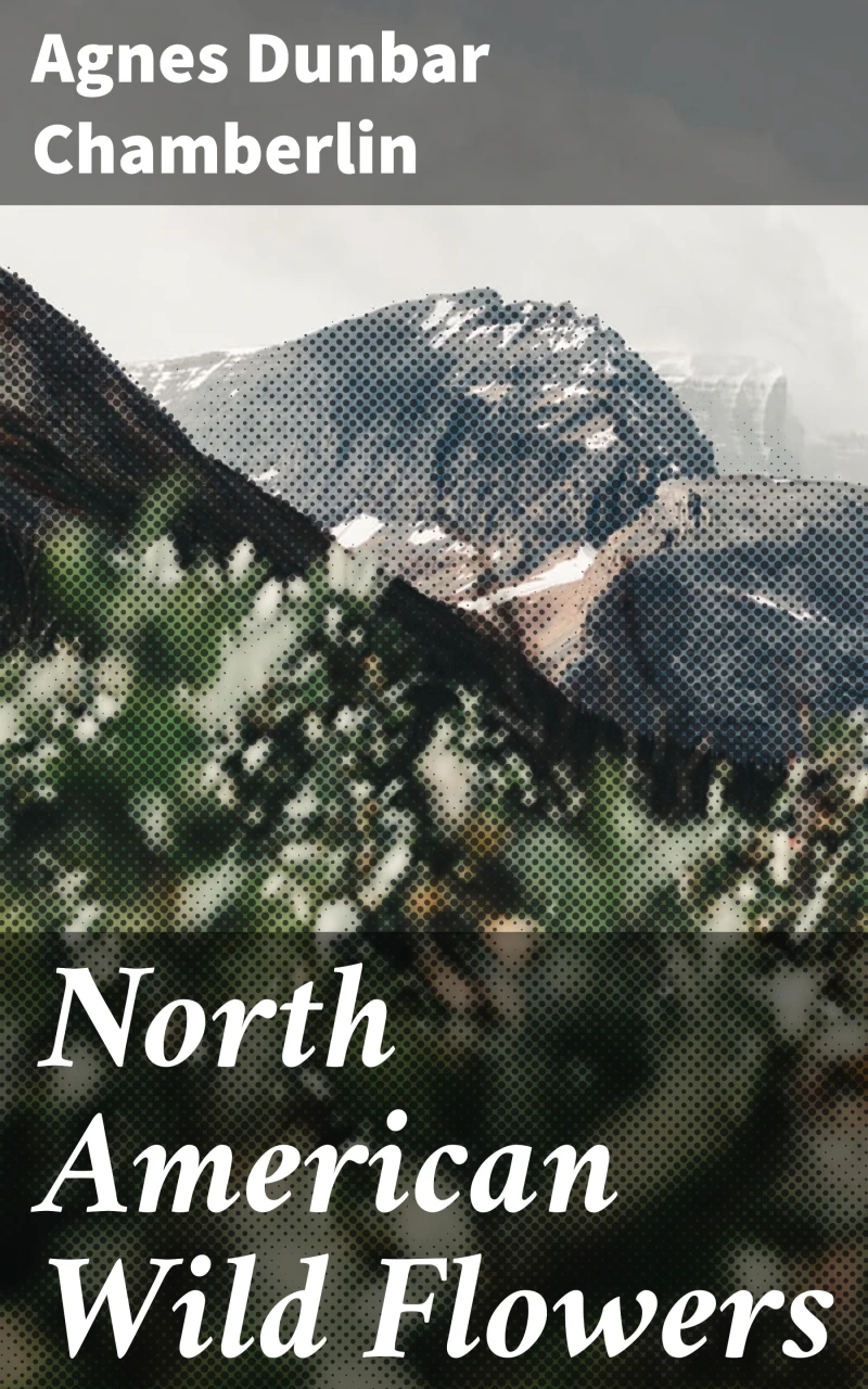 Portada: North American Wild Flowers