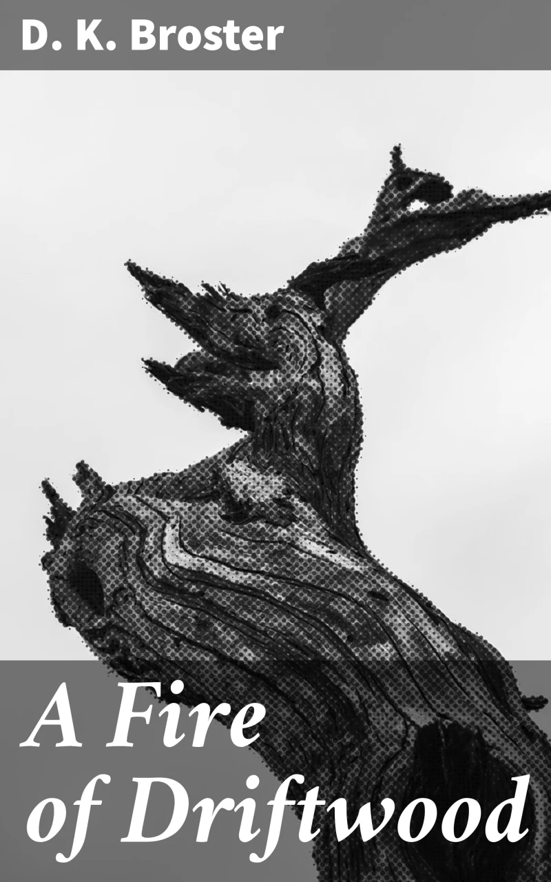 Portada: A Fire of Driftwood