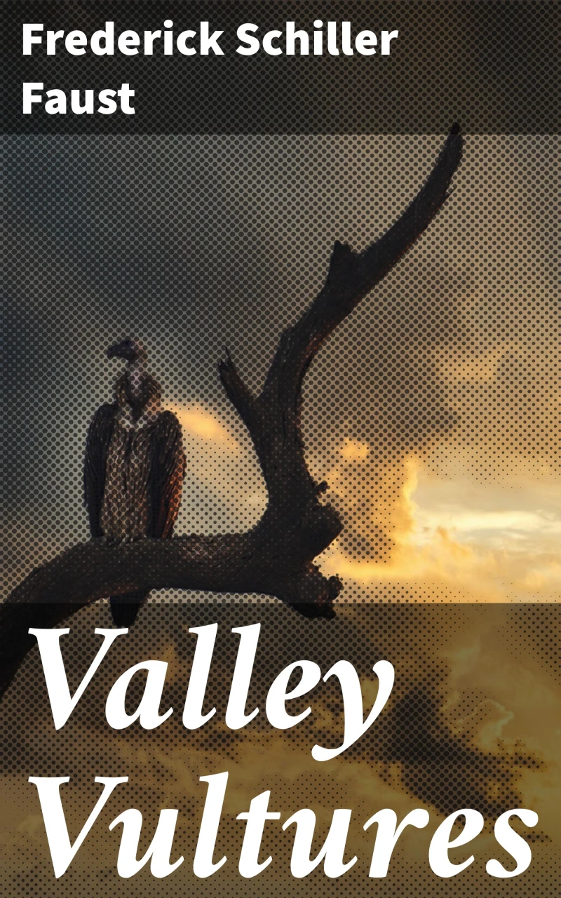 Portada: Valley Vultures
