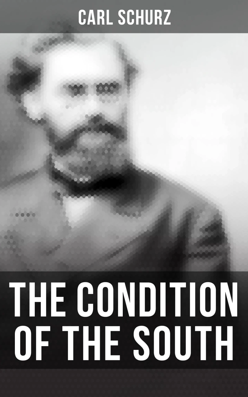 Portada: The Condition of the South