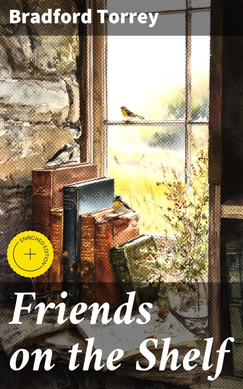 Portada: Friends on the Shelf