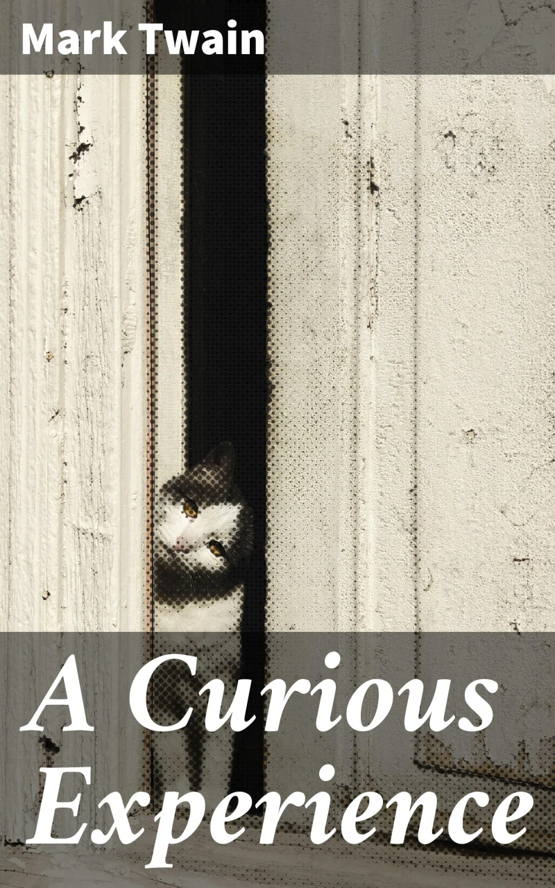 Portada: A Curious Experience