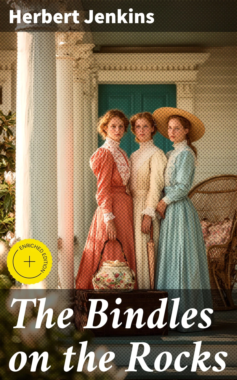 Portada: The Bindles on the Rocks