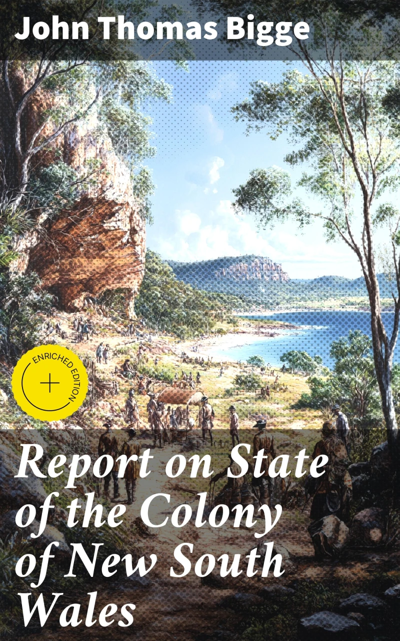 Portada: Report on State of the Colony of New South Wales