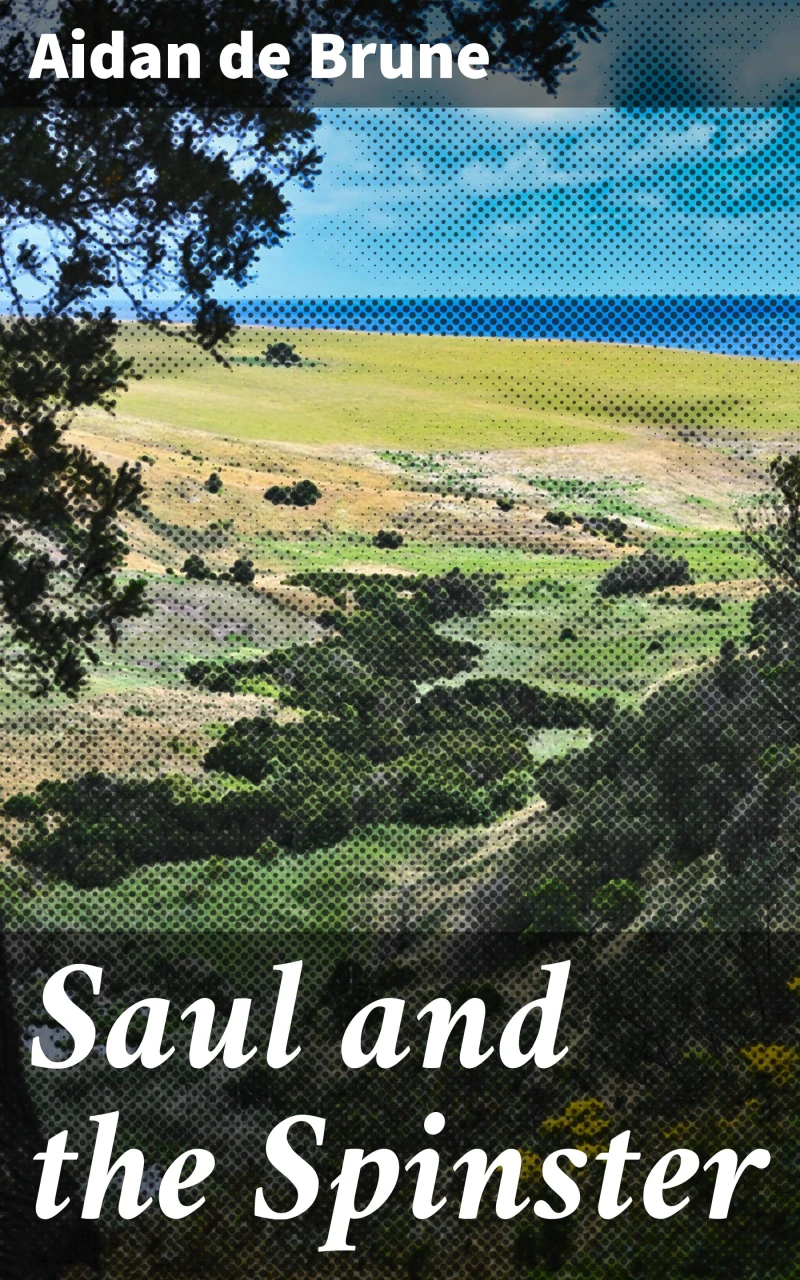 Portada: Saul and the Spinster