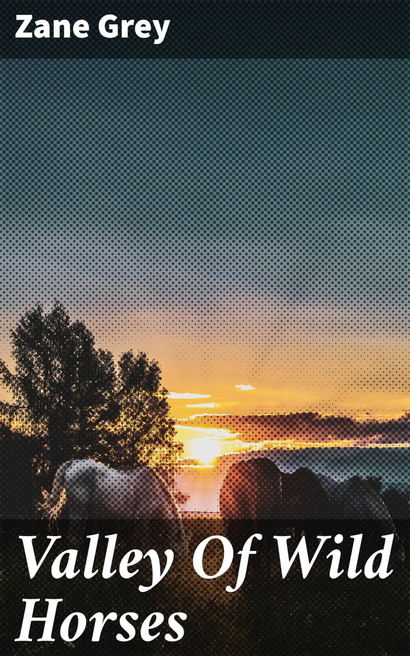 Portada: Valley Of Wild Horses