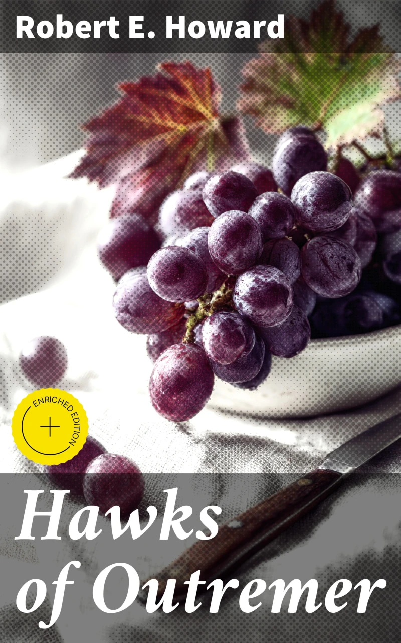 Portada: Hawks of Outremer