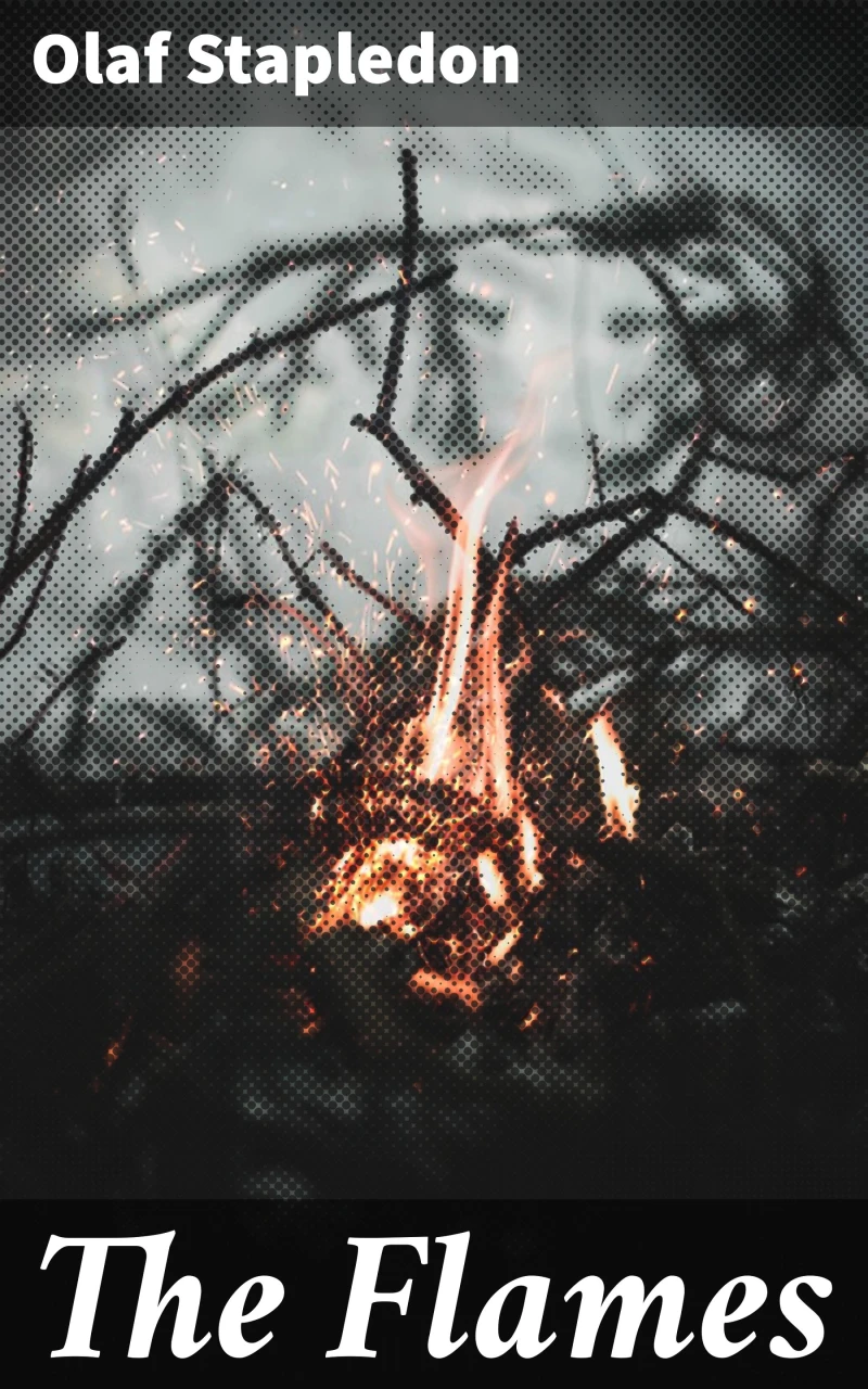 Portada: The Flames