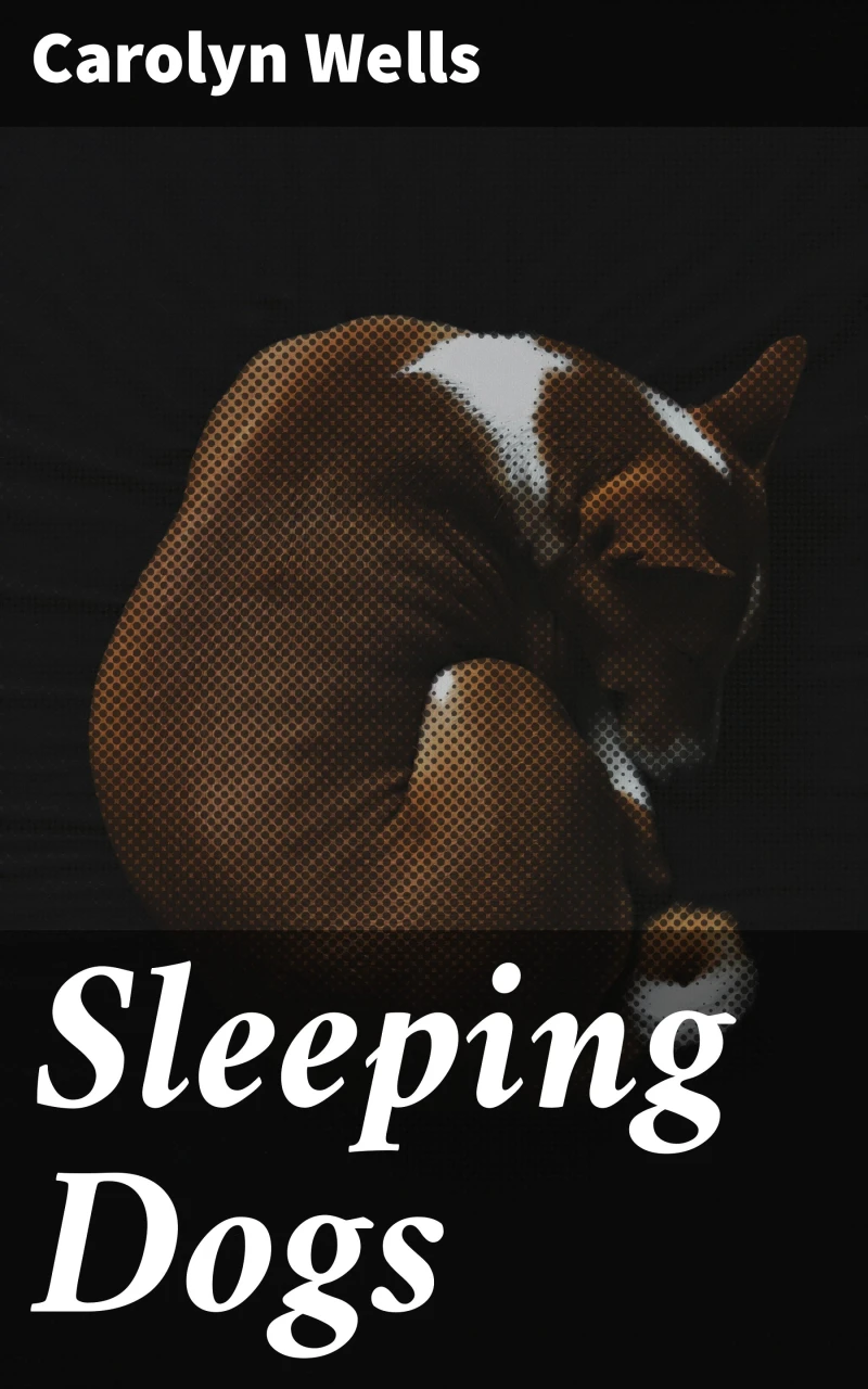 Portada: Sleeping Dogs