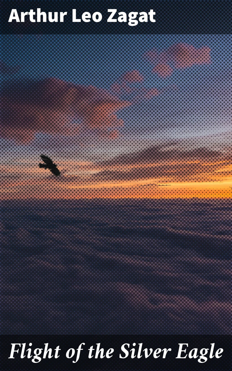 Portada: Flight of the Silver Eagle