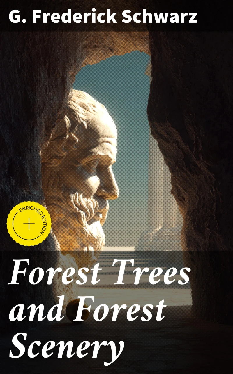 Portada: Forest Trees and Forest Scenery