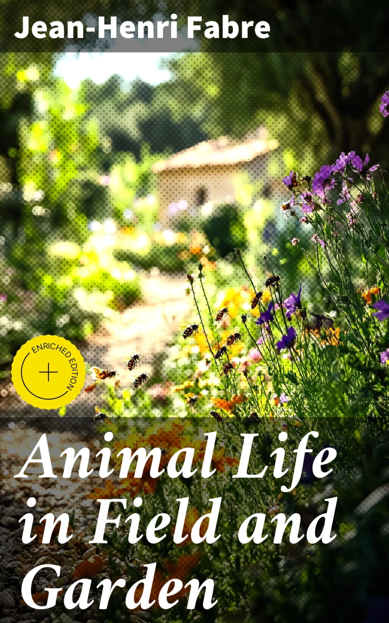 Portada: Animal Life in Field and Garden