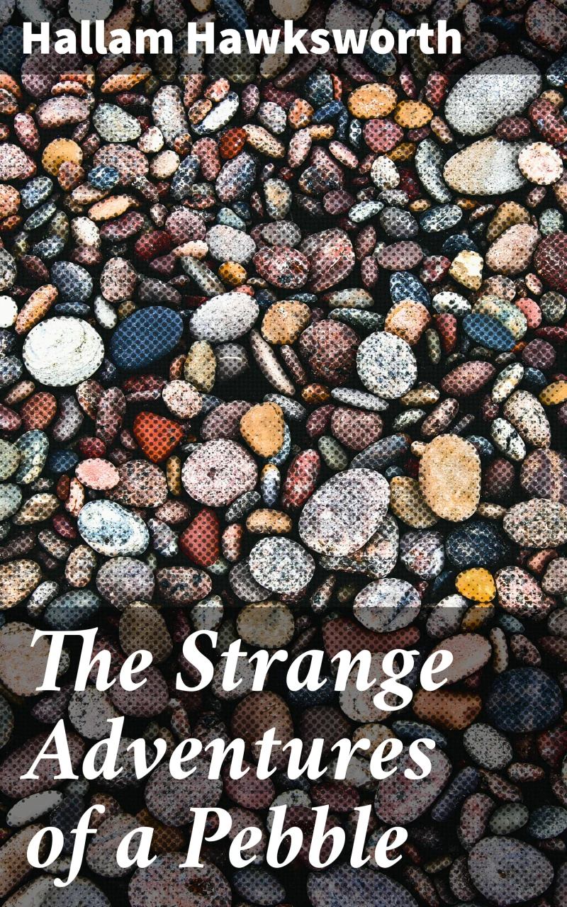 Portada: The Strange Adventures of a Pebble