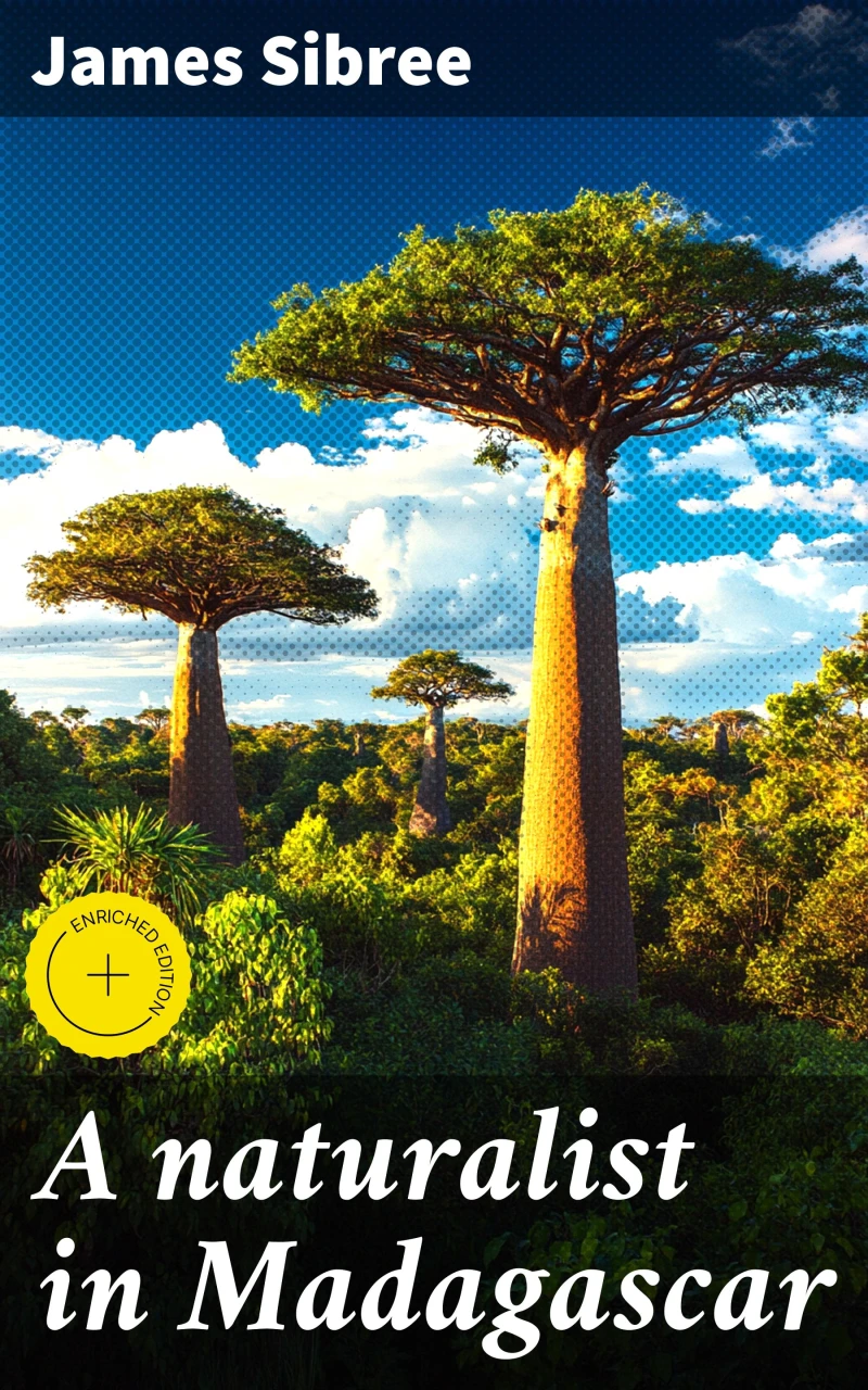 Portada: A naturalist in Madagascar