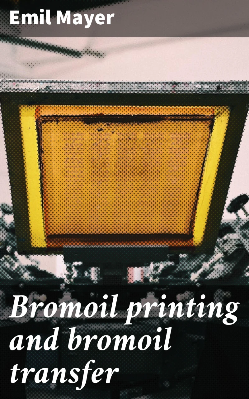 Portada: Bromoil printing and bromoil transfer