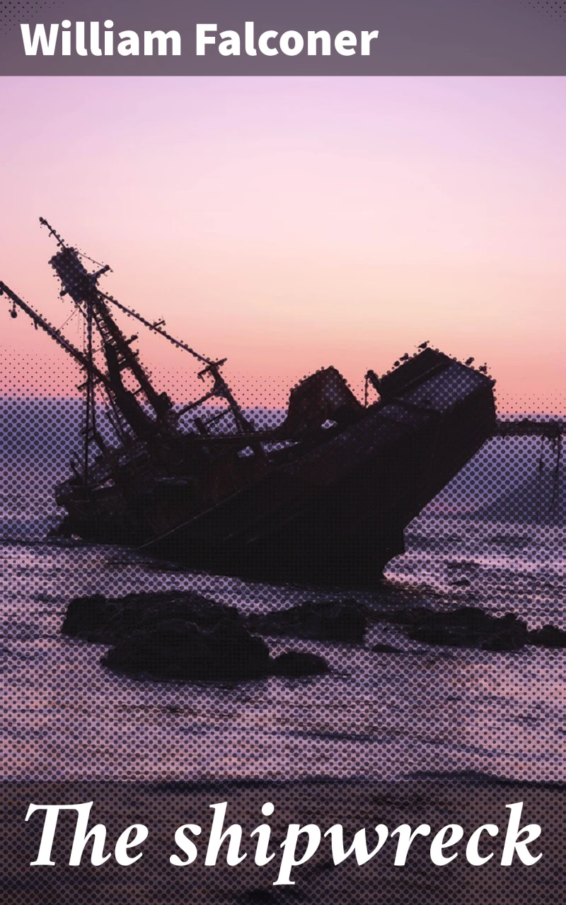 Portada: The shipwreck