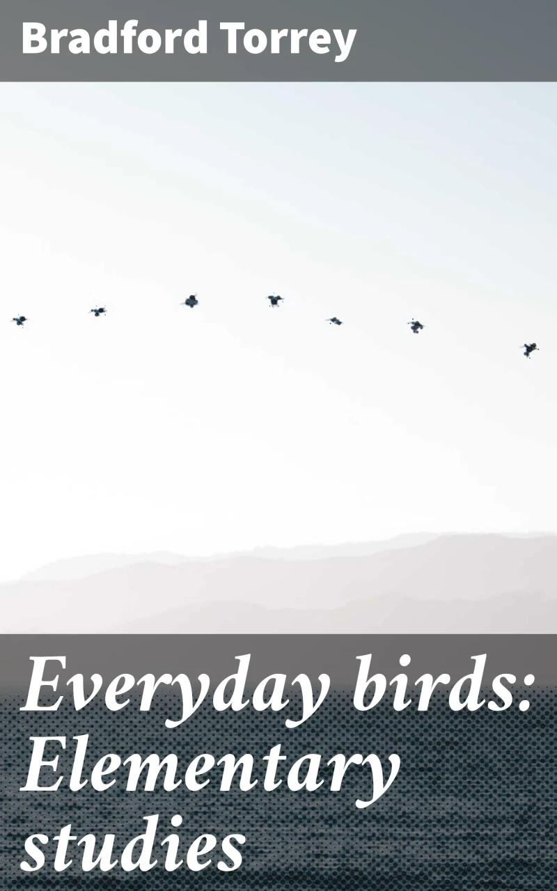 Portada: Everyday birds: Elementary studies