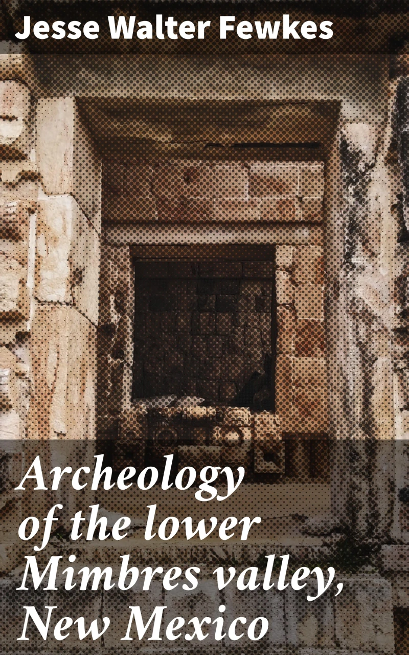 Portada: Archeology of the lower Mimbres valley, New Mexico
