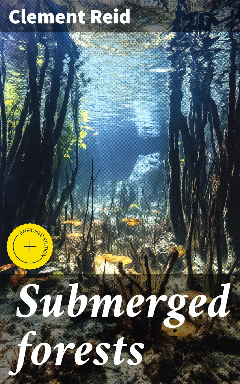 Portada: Submerged forests